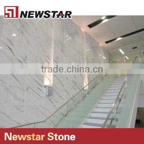 Newstar Cheap Guangxi White With Black Grey Veins China Marble Tile