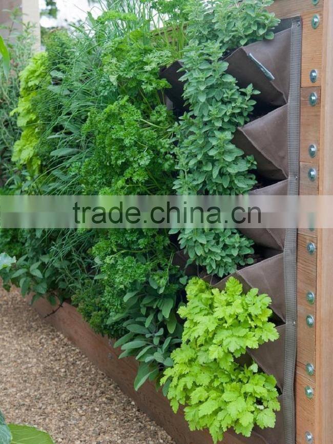 Felt Vertical Garden Grow Bags,Hanging Wall for Plant,Ideas for Small Spaces
