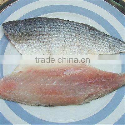 land frozen grey mullet fillet ,skin-on,boneless IQF processing