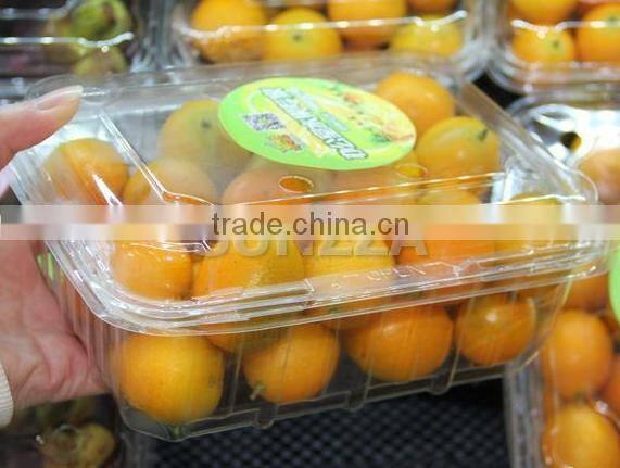 Disposable packaging ;Vegetable box ;Fruit dish