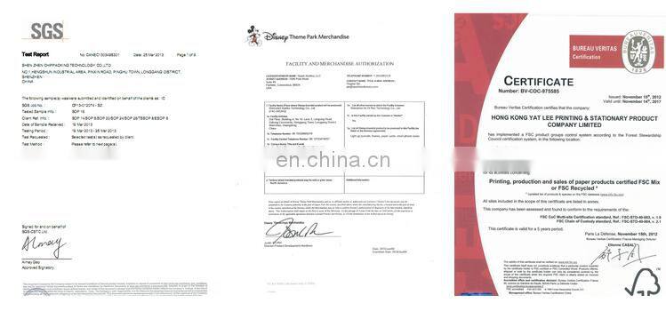 Lighting Up Gift Bag in a Special Time with Your Special Way