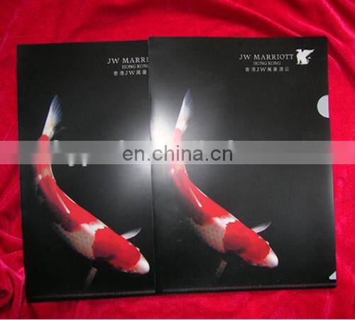 Fashional Factory Price Colored Plastic Folders for Document