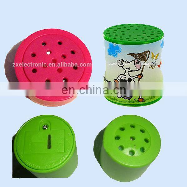 Colorful programmable sound module for toy