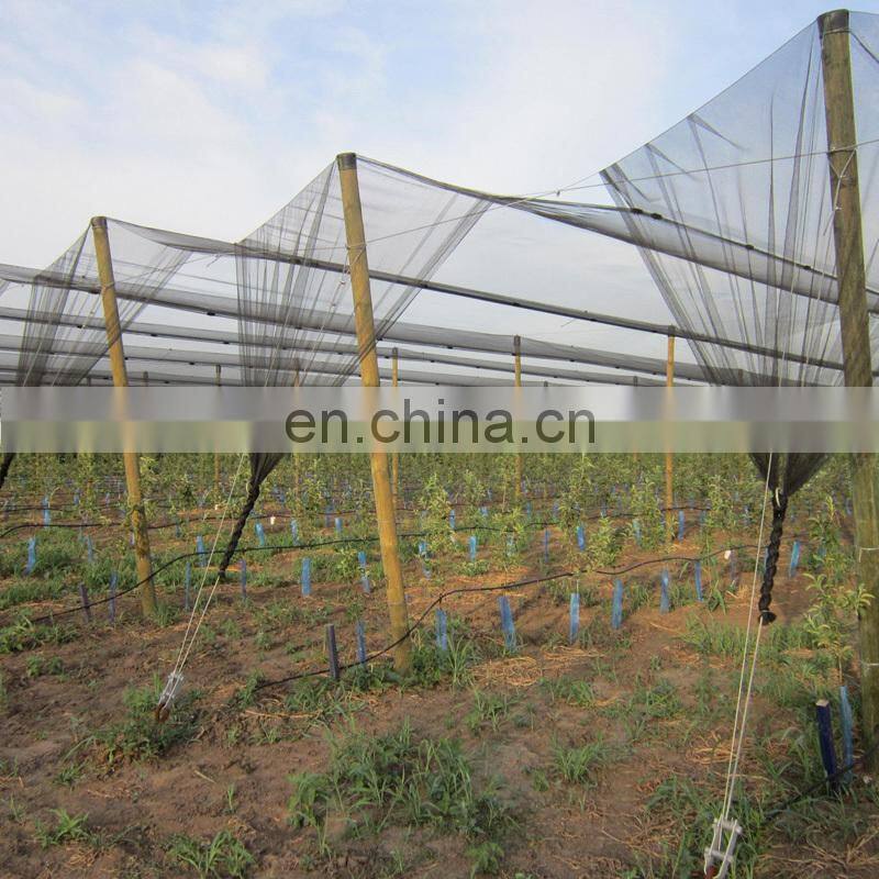 China supplier custom hail guard net fruit cover protection mesh