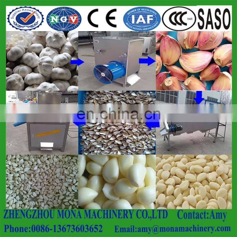 Hot selling automatic garlic separating/breaking machine, garlics processor