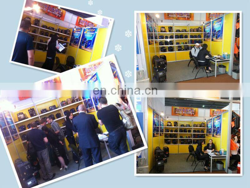 Heavy Duty Cycle MOSFET DC Arc MMA250 Welding Machine Industrial Business