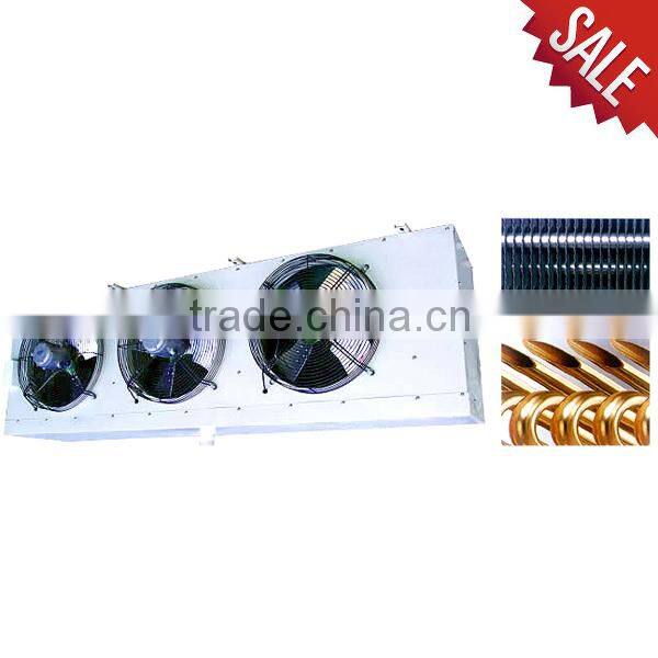 supermarket store cold room for food in South America