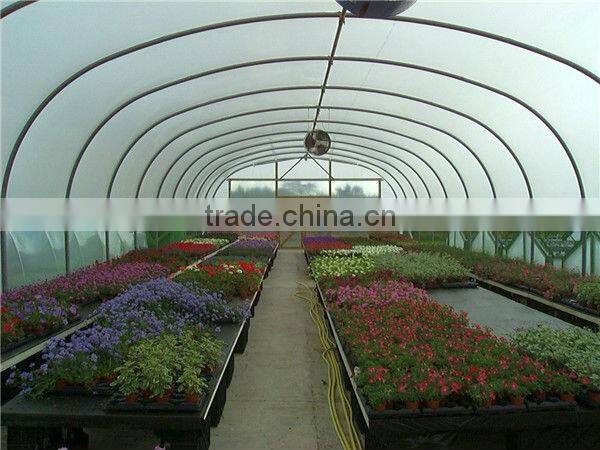 vegetables polytunnel green house