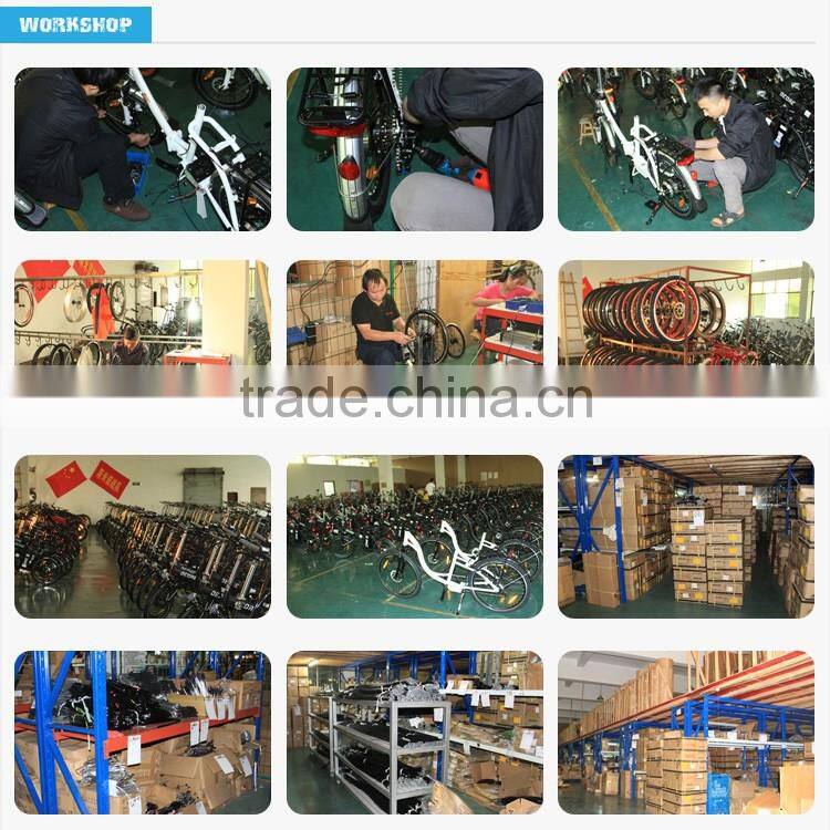 fat tire mountain bike