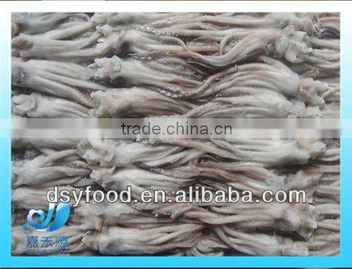 frozen processed fuzhou squid tentacles