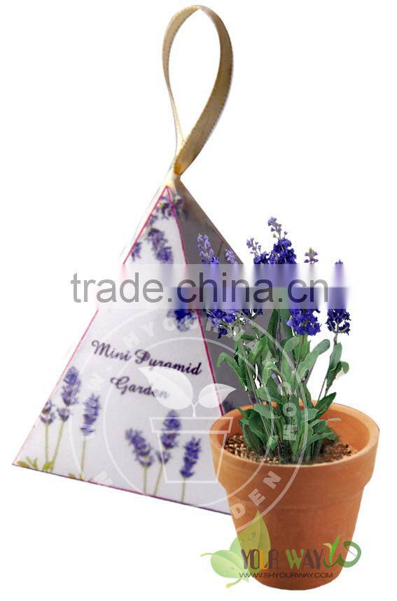 Mini Pyramid Garden, Flower Garden,Sunflower