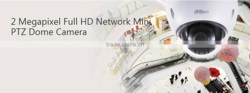 Dahua 2016 ONVIF P2P HD H.264 Network Digital Video Recorder