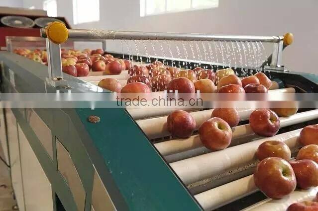 blueberry sorting machine