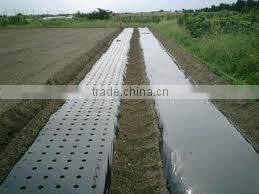 black mulch film for agriculture