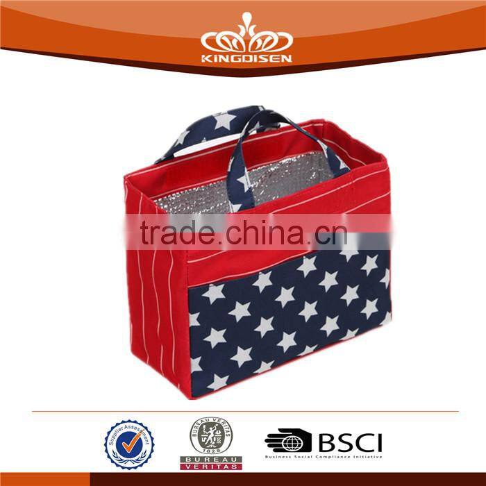 Food Use and Insulated lunch cooler bag