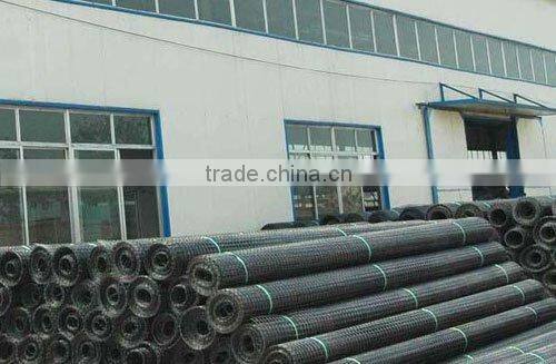 12.5mmx12.5mm Geogrid with CE /ISO Certificate