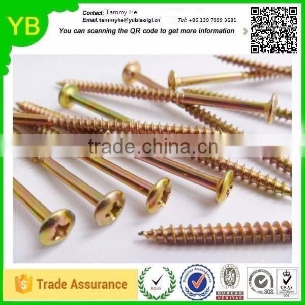 2016 New Top Quality Steel Screws and Nails Bulk Caps