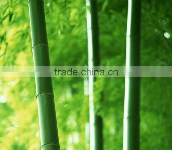 High quality organizer for book magazine,antique style 4 tier corner bookshelf/bookcase