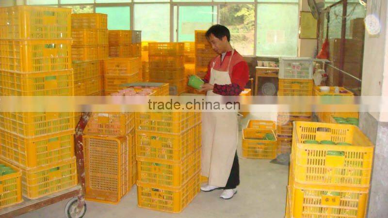 Ceramic Spring Butterfly Box