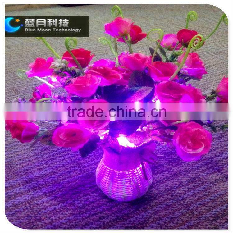 2meters Battery operated Christmas lights mini led lights for crafts