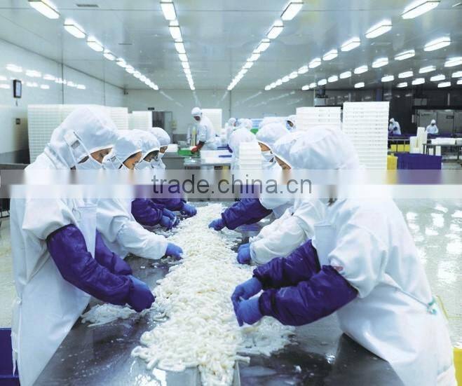 Frozen Squid illex whole round