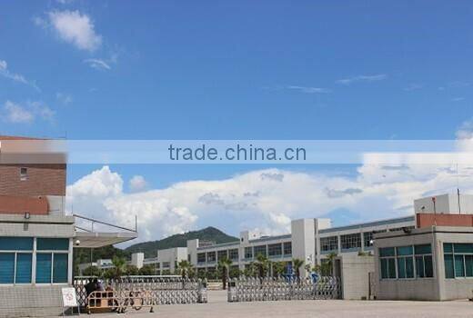 Security Camera 700TVL DIS and EXIR Mini Dome CCTV Camera GSMAC00048