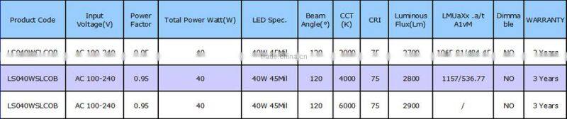 40W Customize rectangle COB 45 degree rotated shop downlight