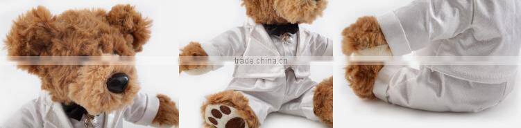 Custom Plush Teddy Bear(TB1118)