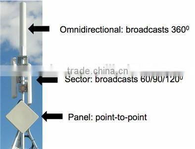 Antenna Manufacturer 5725-5850MHz(5.8GHz) 12dBi Outdoor Omni Fiberglass WiFi Long Antenna