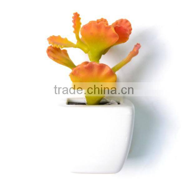 Decorative Succulent Plant in a square White Pot