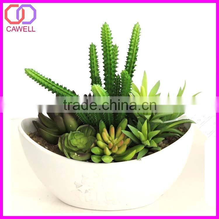 decorative artificial cactus