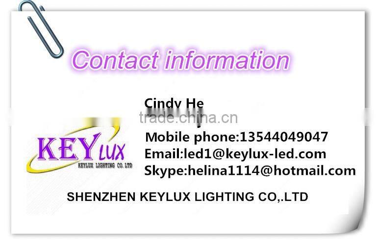 Big Pedant Light Suspending Wire Name Aluminium Profile for Driver