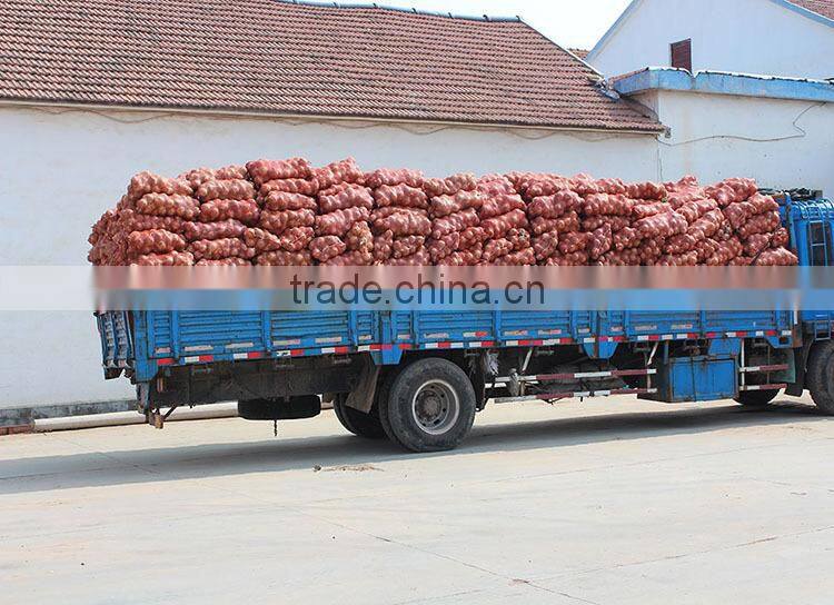 China onion at good price of per ton