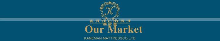 Factory Supply Roll Up Handle Bag Packed Foam Mattress