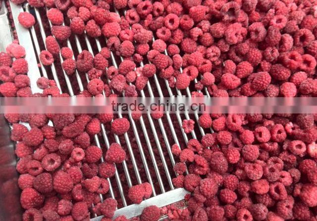 Frozen Raspberry