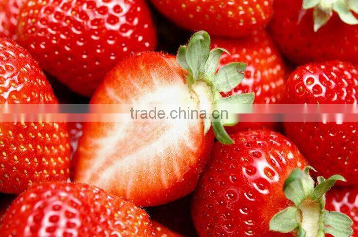 Frozen Strawberry best selling products