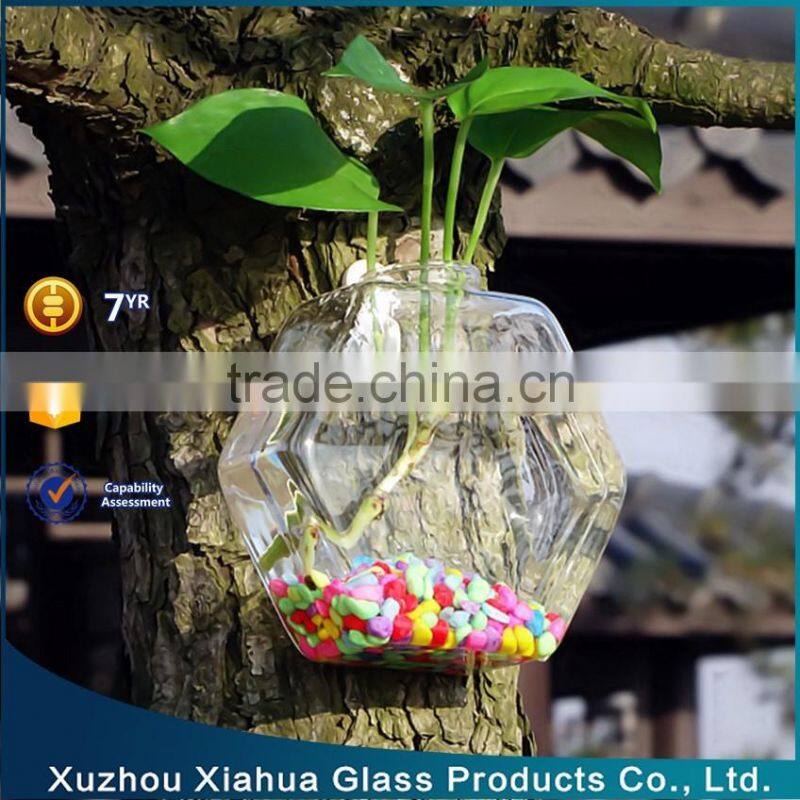 hexagon hanging glass terrarium