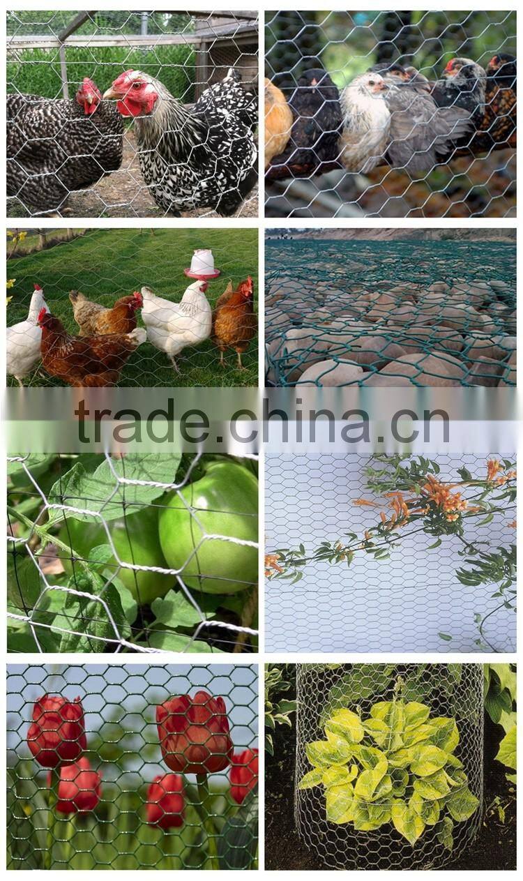 Hexagonal PVC Coated Chicken Wire Mesh