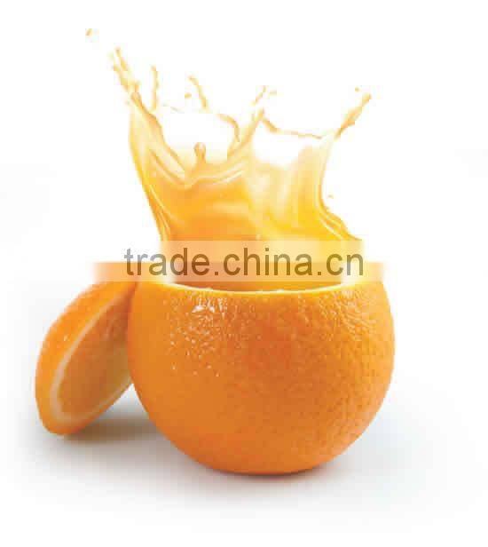 cold press juicer machine,slow juicer