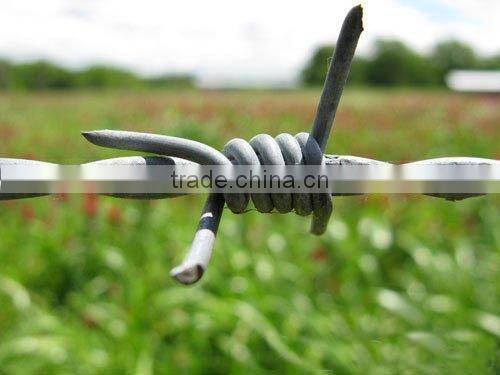 Hot dipped galvanized barbed wire fencing professional supplier