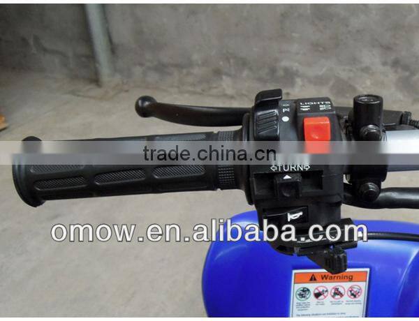 250cc Pantera ATV Quad Bike