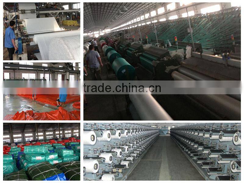 high quality china plastic pe tarpaulin supplier