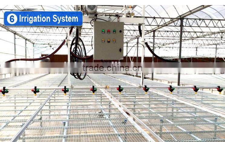 Commercial hydroponic systems for vegetable greenhouse