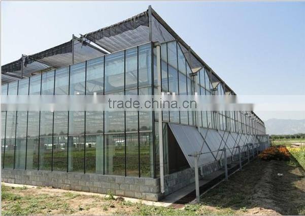 8MM Utra Clear Glass Greenhouse,Safety Greenhouse Glass