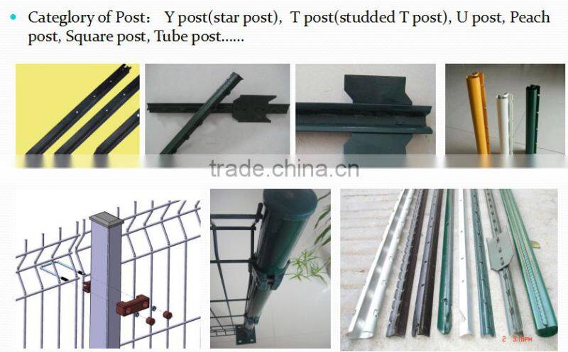 Factory Wholesale Cattle Fence T Post For Sale/ Cheap Galvanized Used Steel Fence T Post For Sale/ T Post (Factory)