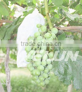 nonwoven fruit cooler bag