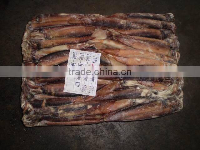 Best Selling Frozen Argentina Squid (Squid Tubes )