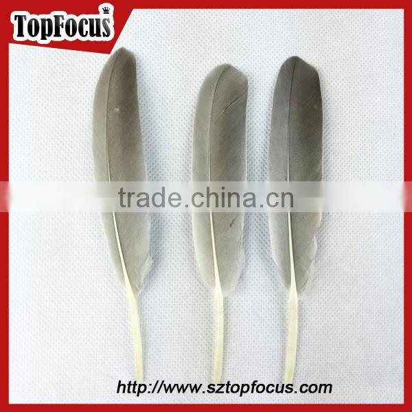 50pcs Home Decorative Dyed Natural grey dyed goose feathers sale