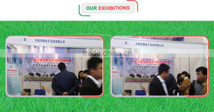 Lifepo4 Battery Charger for E-Boat