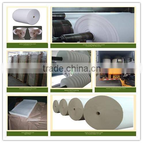 Offset Printing PE coated Paper In Sheet
